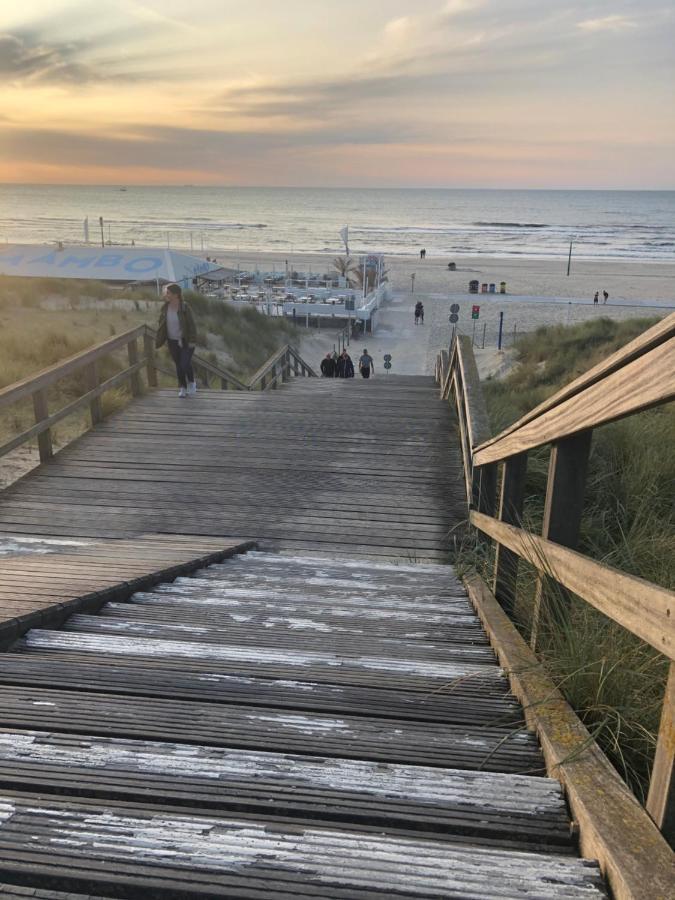 Sunset House Den Haag