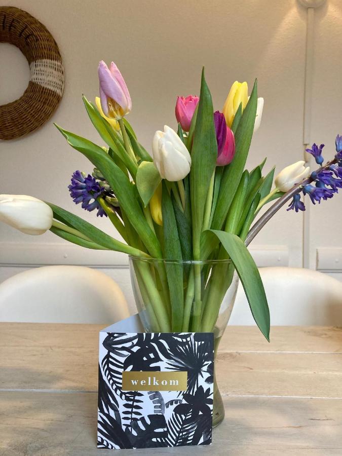 Ferienhaus Sunset House Den Haag